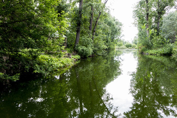 Fototapeta premium Old park with ponds clean. Ponds bushes green trees and bushes. The water in the ponds of spring transparent. Fotoshoot summer on a cloudy day. 