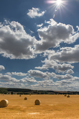 Kornfeld mit Heuballen