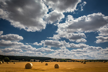 Kornfeld mit Heuballen