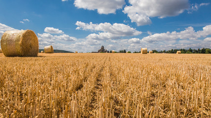 Kornfeld mit Heuballen