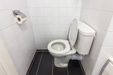 洋式トイレ　Figure judging from the flush lavatory side