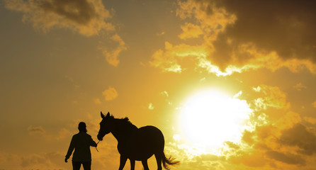 Obraz na płótnie Canvas Pferd wird in den Sonnenuntergang geführt