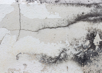 white concrete wall texture