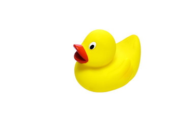Yellow small rubber duck isolated on white