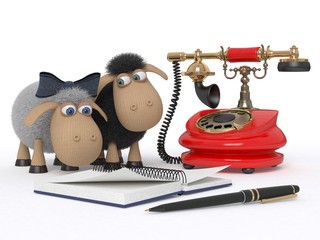 Loving couple of sheep