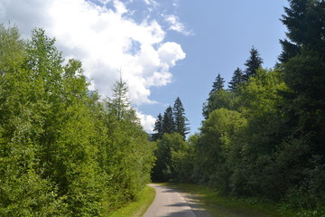mountain