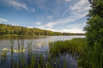 Летний день на лесной реке © symbol344