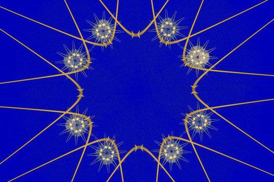 Abstract circular  fractal artwork background.