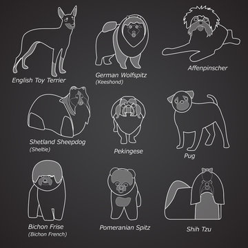 Breeds of dogs in linear style
