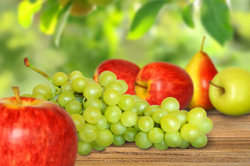 Obst 215