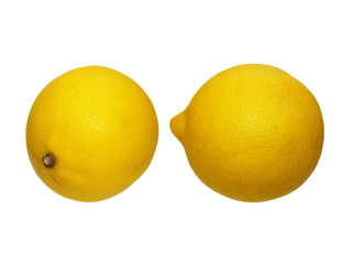  lemon isolated on white background