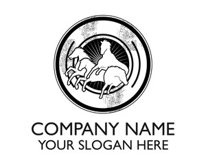 silhouette white horse