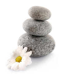 Obraz na płótnie Canvas Stack of spa stones with chamomile isolated on white