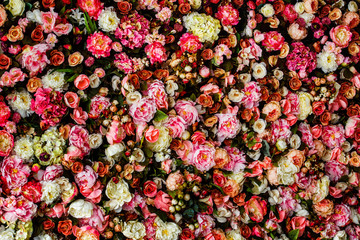 Closeup image of beautiful flowers wall background 