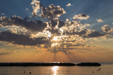 Gabbiani in volo nel cielo
