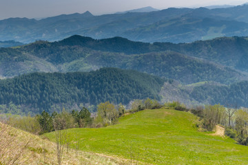 Obraz premium Green farmland on rolling hills