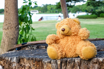 Brown bear doll on stump wood
