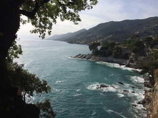 extract of liguria