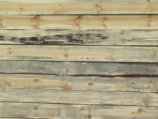 Fototapeta premium Holzwand Natur