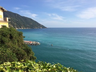 extract of liguria