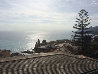 extract of liguria