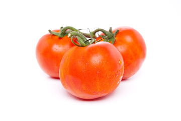 Fresh Red Tomatoes Isolated on White Background.