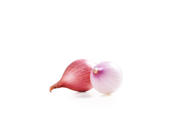 Organic Shallot Onions Isolated on White Background.