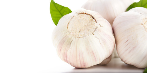 Garlic Isolated on White Background.