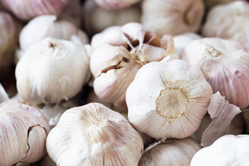 Closeup Garlic for Background Uses.