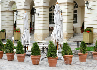 Summer patio of cafe with small trees in pots