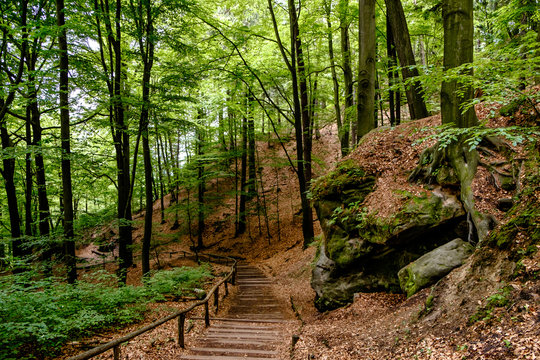 In der S&auml;chsische Schweiz wandern