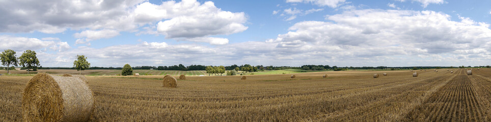 Fototapeta premium Panorama - Feldblick mit Strohballen