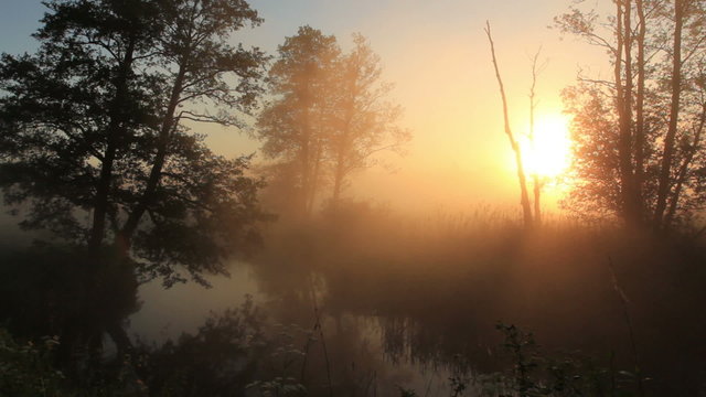 Early summer morning. Fog over the water, glistening webs. Camera movement complements the forest landscape of the river, with a beautiful sunrise.