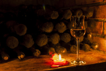wine archive in wine cellar, Czech Republic