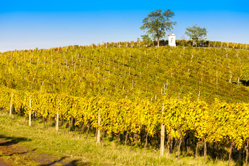 God's torture with autumnal vineyard, Modre Hory, Southern Mora