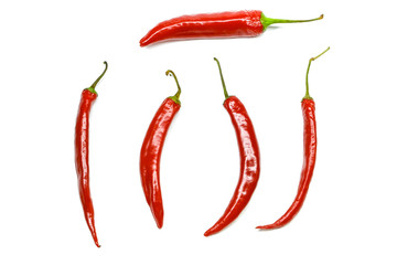 Red hot chili pepper isolated on a white background
