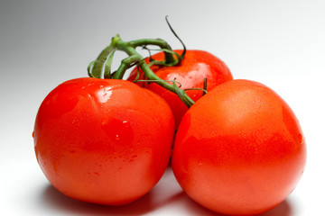 tomatoes bunch isolated on white background