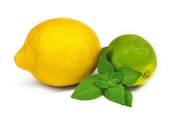 Lime and lime isolated with mint on white background