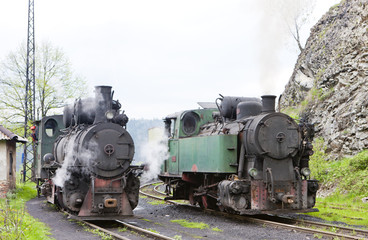 Fototapeta na wymiar steam locomotives, Oskova, Bosnia and Hercegovina
