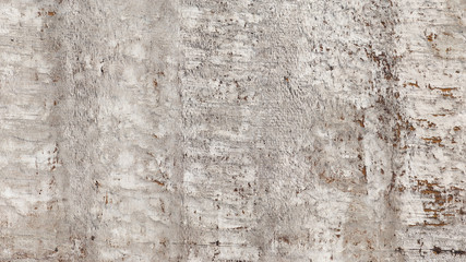 wall of the old concrete