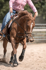 équitation western