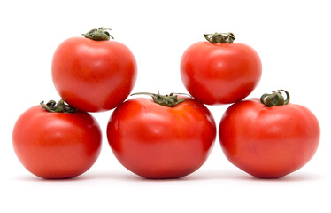 tomatoes on a white background