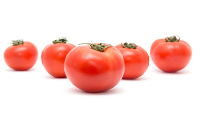 tomatoes on a white background