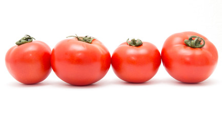 tomatoes on a white background