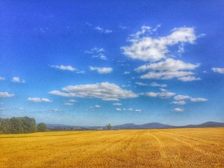 oberlausitz