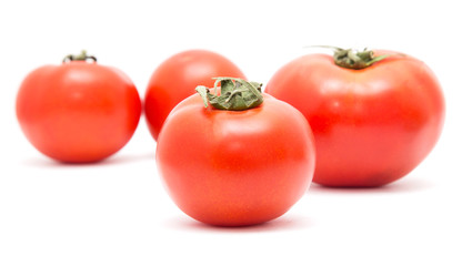 tomatoes on a white background