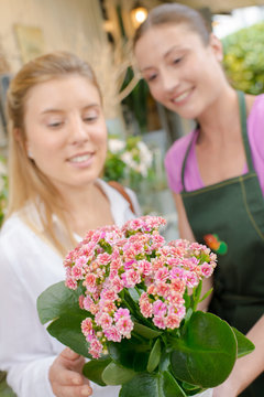 Florist holding a flower arrangement