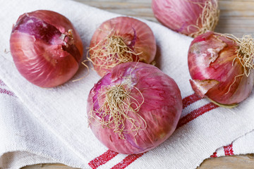 red onions from Acquaviva, Puglia,Italy