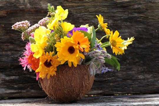 gartensommerblumenmischung in der kokosnuss