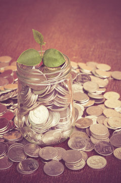 plant growing out of coins with filter effect retro vintage styl